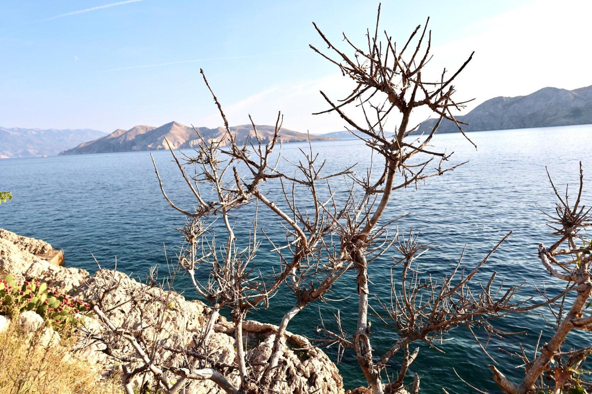 Villa Perla Baska Luaran gambar